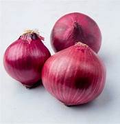 Agrifound light red onion