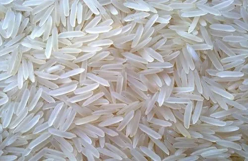1509 Basmati Rice